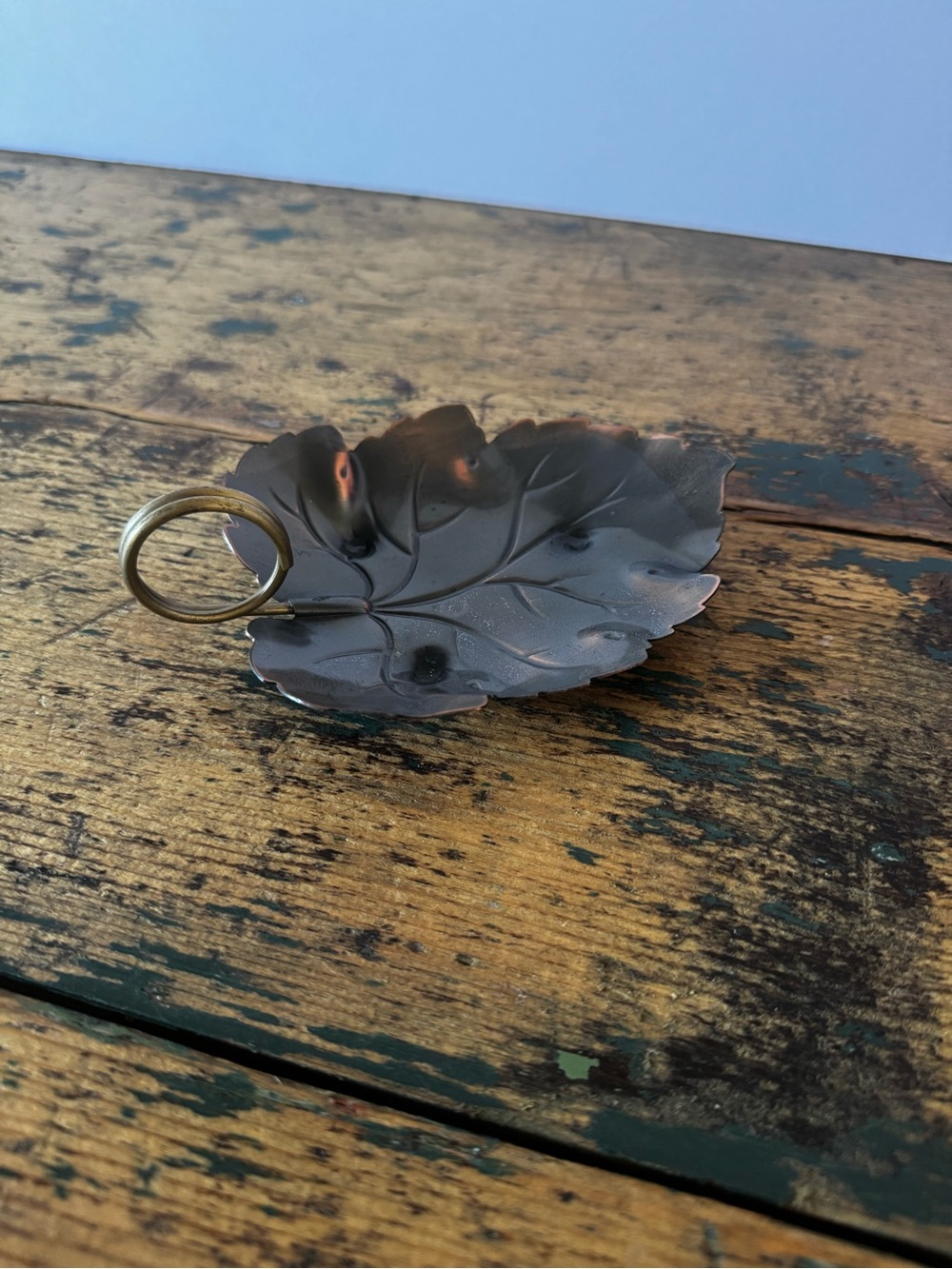 Leaf Trinket Dish with Brass Ring in Dark Brown